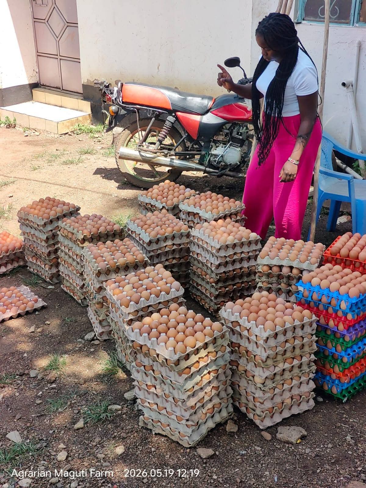 Poultry Farm